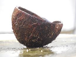 coconut shell